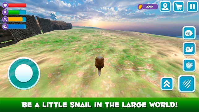 Snail Wild Life Simulator 3D