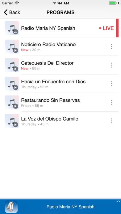 Radio Maria Spanish screenshot 4