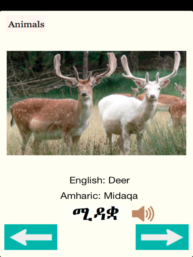 Animals in Amharic Audio(圖5)-速報App