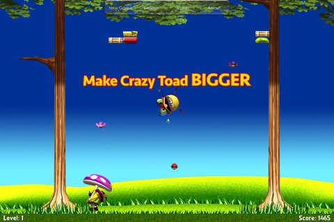 Crazy-Toad screenshot 2