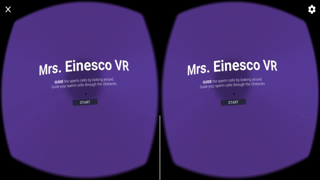 Mrs. Einesco VR