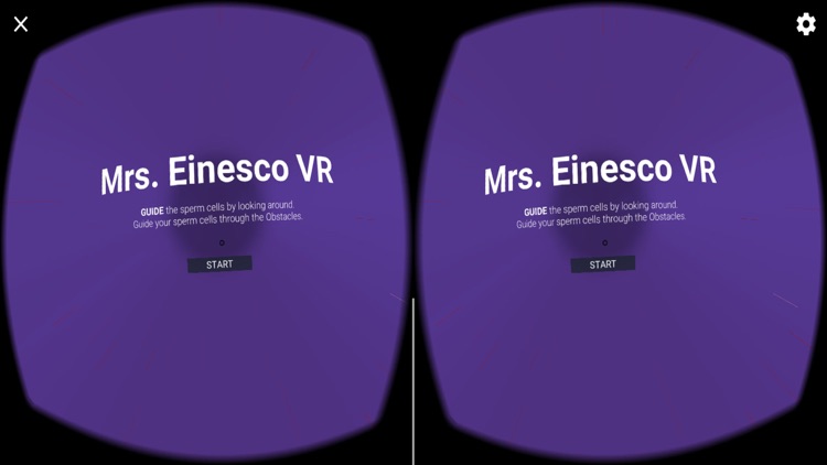 Mrs. Einesco VR