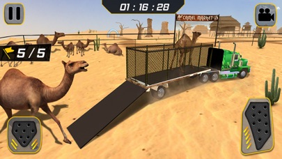Eid Camel Truck Transport screenshot 2