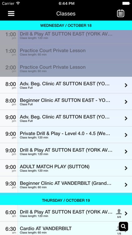 Tennis In Manhattan screenshot-3