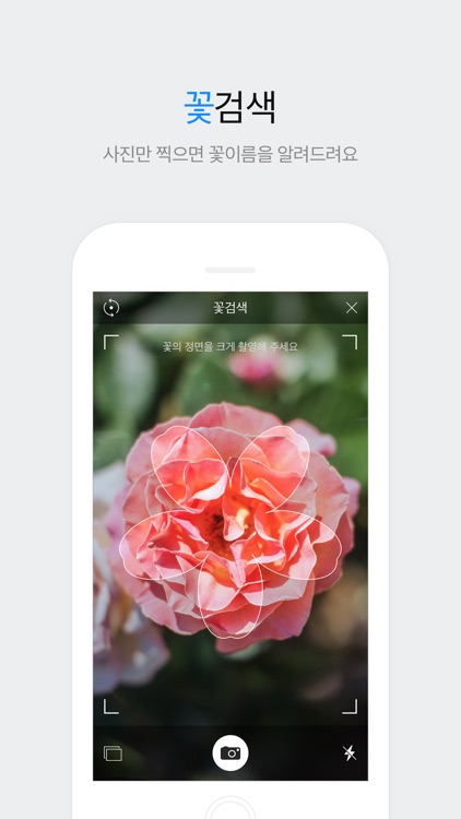 다음 - Daum