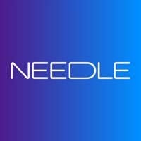Needle Finder pour PC