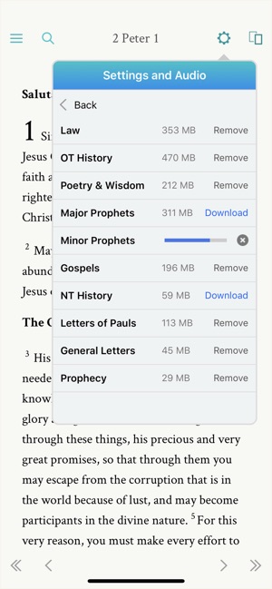 NRSV: Audio Bible for Everyone(圖2)-速報App