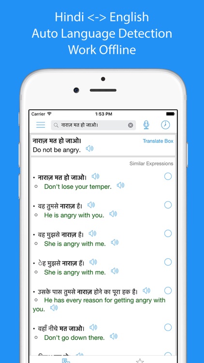 Hindi Translator Offline