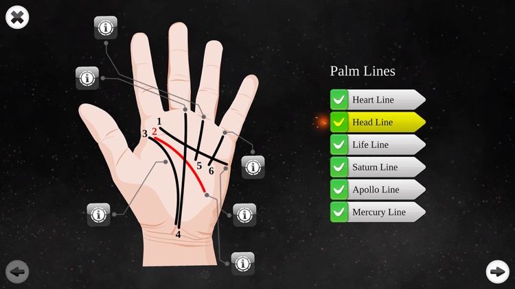 Palm Reading Premium