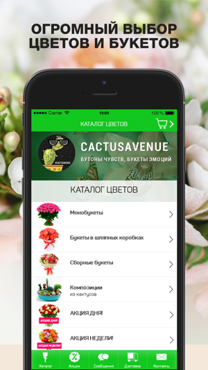 Cactus Avenue(圖1)-速報App