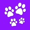 Find a pet is the newest iPhone app that lets you search local pet adoption groups