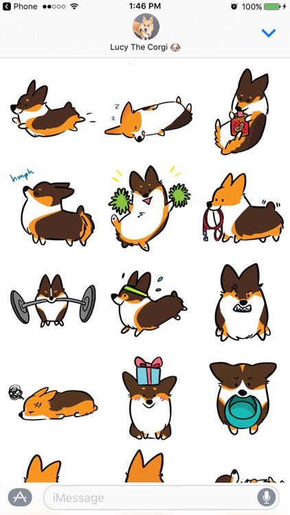 Tricolor Corgimoji screenshot-3