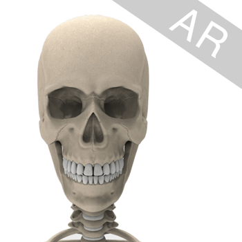 Descargar Virtual Skeleton