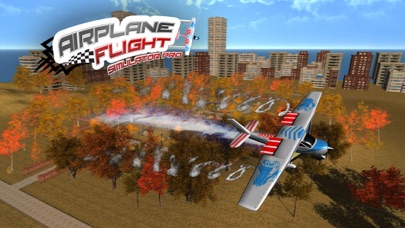 Airplane Flight Simulator Pro screenshot 1
