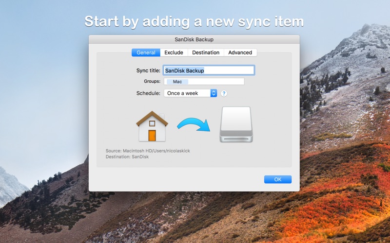 download the new version for apple Synchredible Professional Edition 8.103