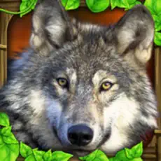 Application Wildlife Simulator: Wolf 9+