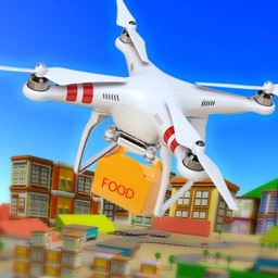 Drone Simulator For Food Delivery