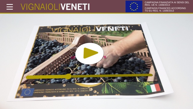 VIGNAIOLI VENETI(圖1)-速報App