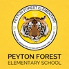 Peyton Forest Elementary