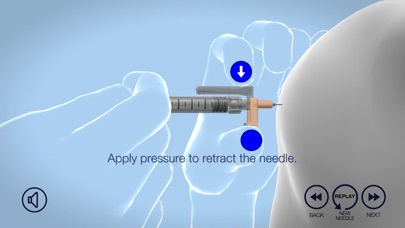 EasyPoint Needle Demo screenshot 3