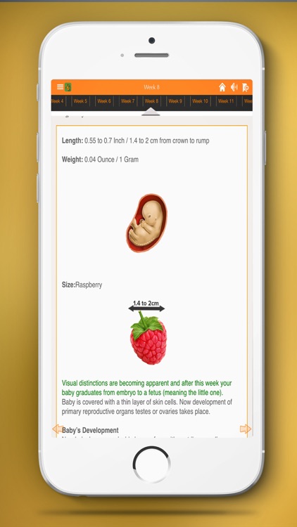 Pregnancy Mentor screenshot-4