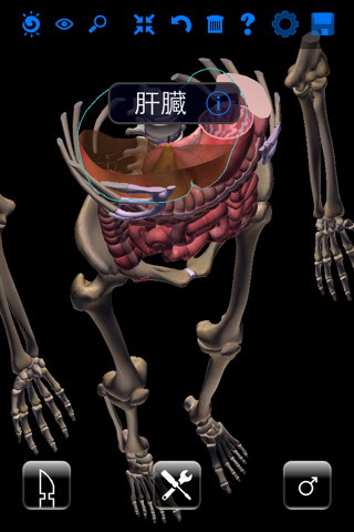 ザイゴット3D人体解剖 screenshot 3
