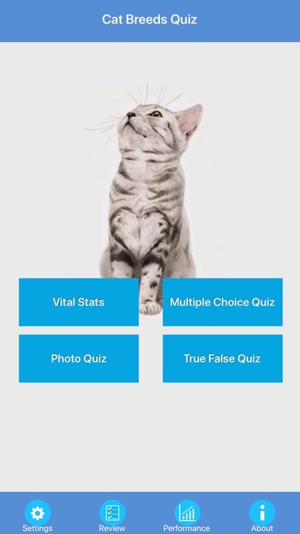 Cat Breeds Quiz