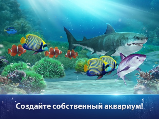 Скачать игру Fishing Strike