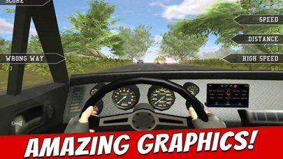 Traffic Driver Car Pro screenshot 2