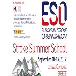 ESO SUMMER SCHOOL 2017