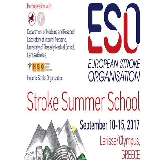 ESO SUMMER SCHOOL 2017 icon