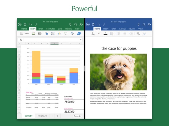 Microsoft Excel Screenshots