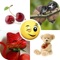 Beautiful Stickers and Emojis for WhatsApp & Messenger