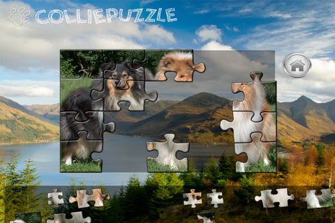 Collie Puzzle screenshot 3