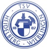 TSV Wieblingen - Handball