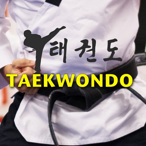 Taekwondo Stickers