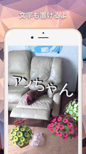 Snapar(圖3)-速報App