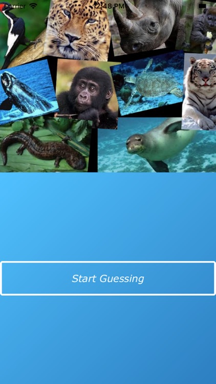 Guess Animals