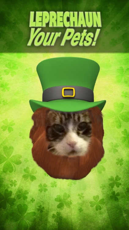 Leprechaun Yourself
