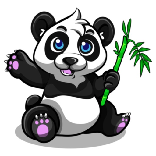 Panda Pelle Univers