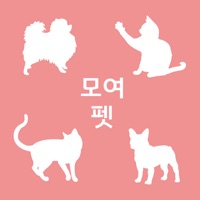 모여펫 - 반려동물의 모든편의서비스! PC 용