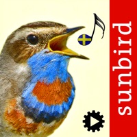 Fågelsång Id - fåglar pour PC
