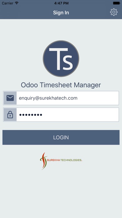 Odoo Timesheet Manager screenshot 2