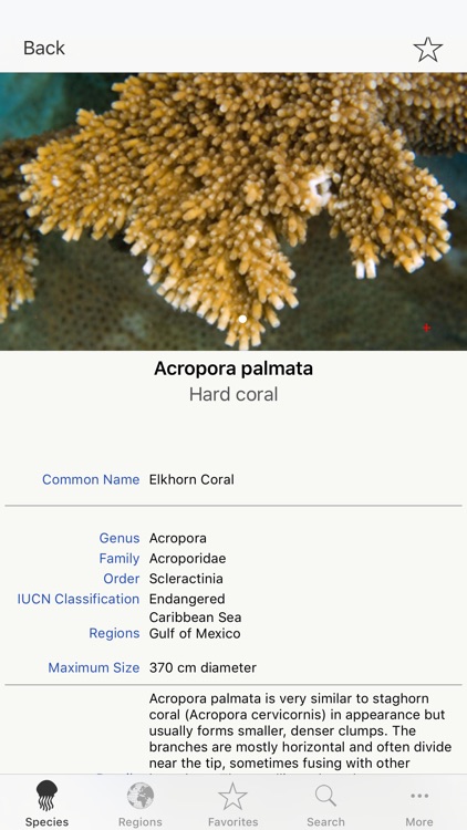 Corals, by Reef Life screenshot-1