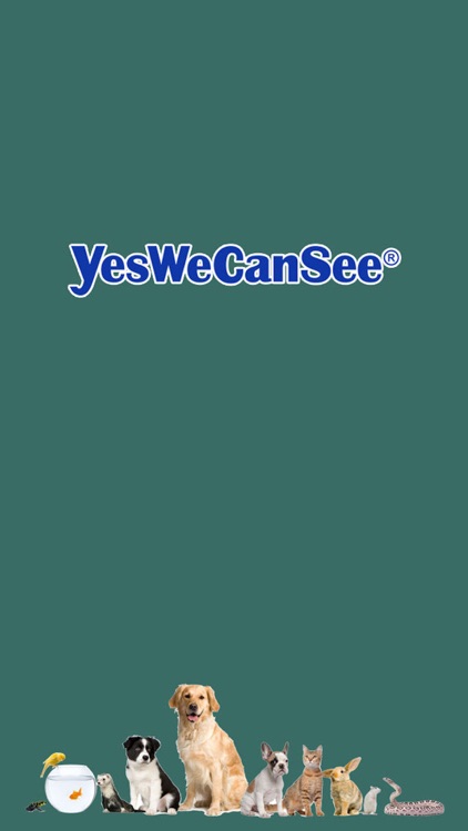 YesWeCanSee