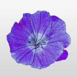 Purple Flower Sticker Pack