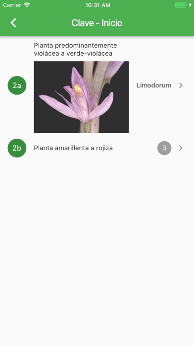 How to cancel & delete Iberian Orchids from iphone & ipad 3