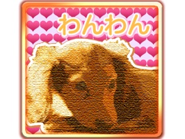 Sticker Pack