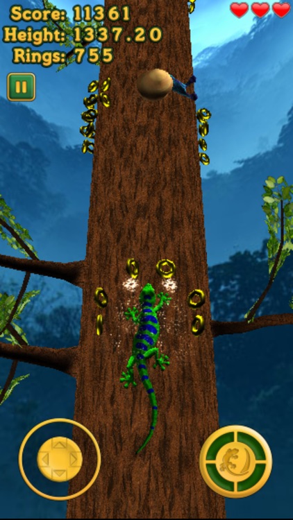 Crazy Lizard - The Amazing Journey