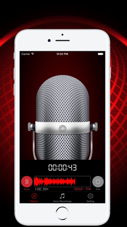HD Audio Recorder Pro